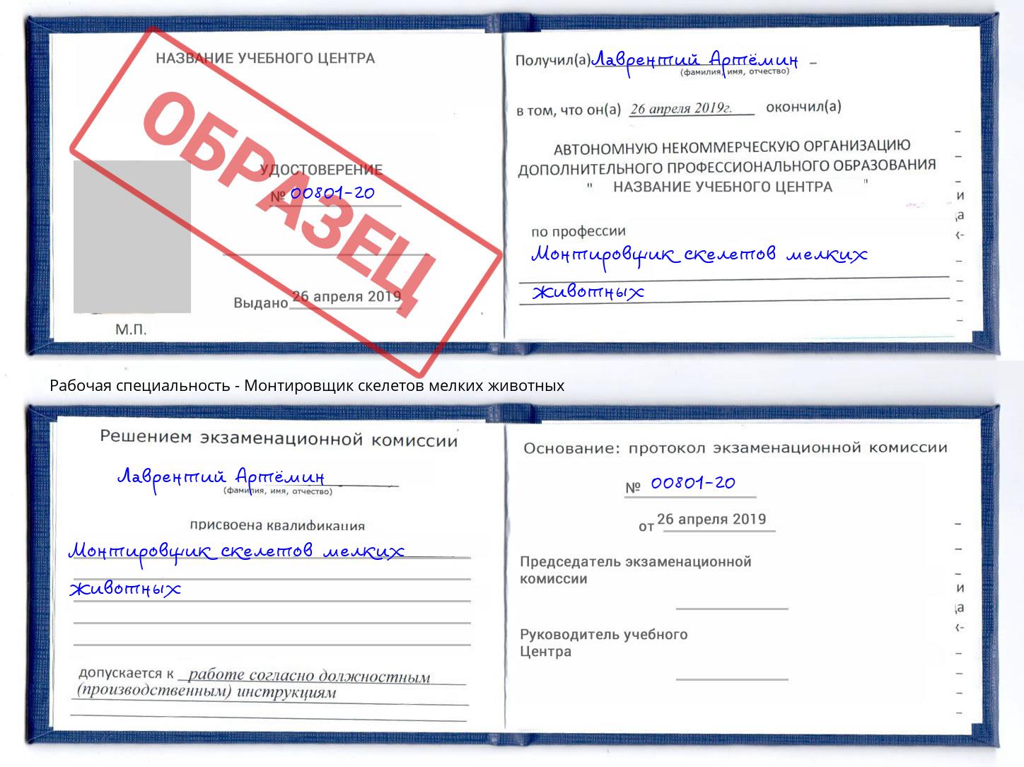 Монтировщик скелетов мелких животных Краснотурьинск
