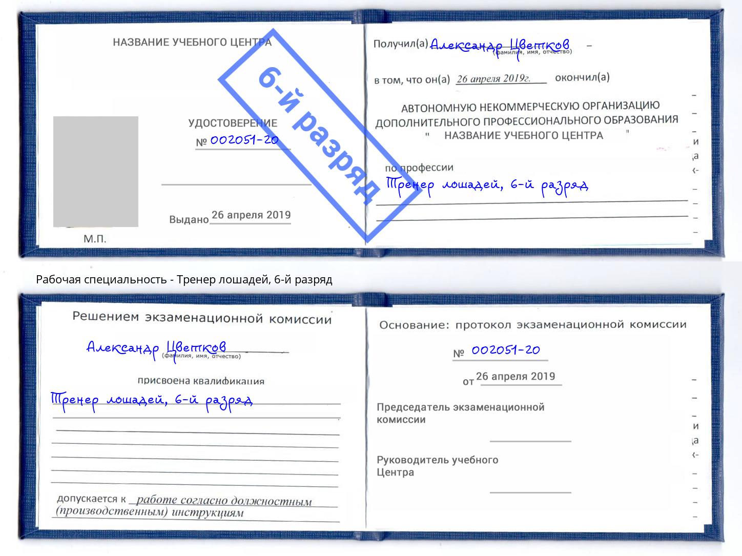 корочка 6-й разряд Тренер лошадей Краснотурьинск